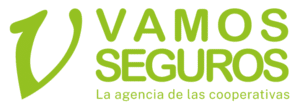 VAMOS SEGUROS AGENCIA DE SEGUROS LTDA
